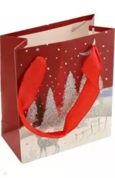 Пакет подарочный