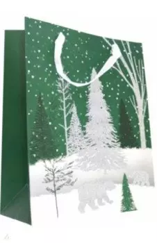 Пакет подарочный