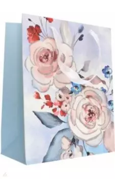 Пакет подарочный