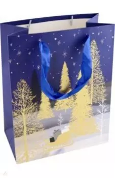 Пакет подарочный