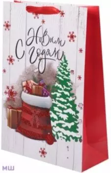 Пакет подарочный