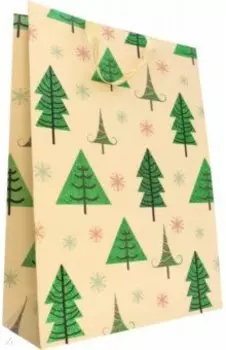 Пакет подарочный