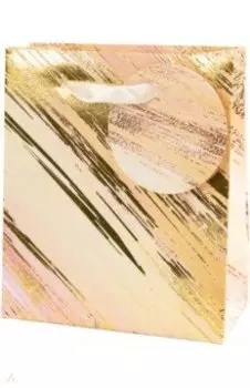 Пакет подарочный Basxs 04