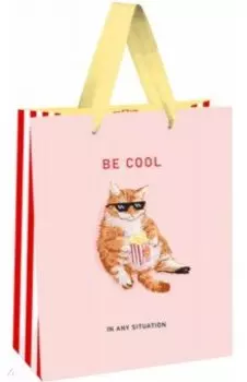 Пакет подарочный Be cool