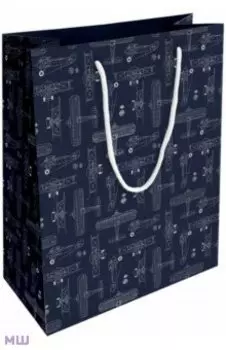 Пакет подарочный Brave, самолеты