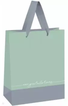 Пакет подарочный Gray-mint