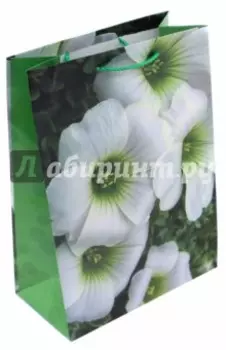 Пакет подарочный ламинированный (220х310х100 мм) (ML 7116)