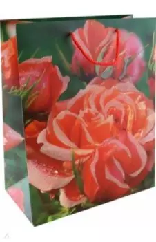 Пакет подарочный ламинированный