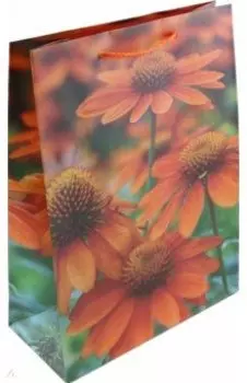 Пакет подарочный, ламинированный