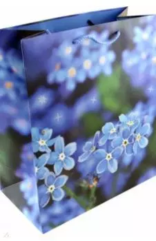 Пакет подарочный ламинированный