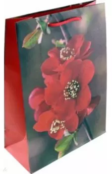 Пакет подарочный, ламинированный