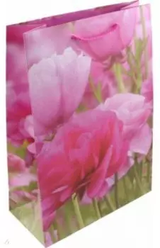 Пакет подарочный, ламинированный
