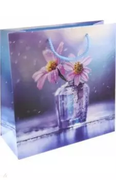 Пакет подарочный, ламинированный