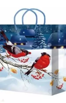 Пакет подарочный ламинированный