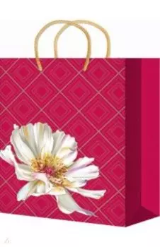 Пакет подарочный ламинированный