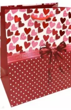 Пакет подарочный ламинированный M Premium