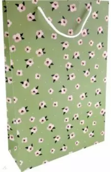 Пакет подарочный Pretty, зеленый, 32*49см