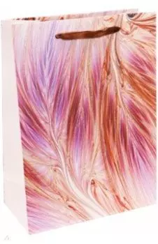 Пакет подарочный Розовые перья