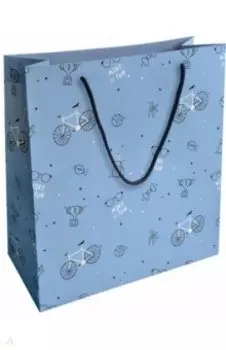 Пакет подарочный Skate, голубой