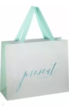Пакет подарочный Tender present