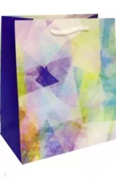 Пакет подарочный Яркая абстракция