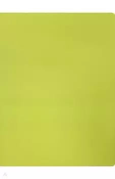Папка 10 вкладышами А4 "Neon" желтая (DNE07V10YEL)