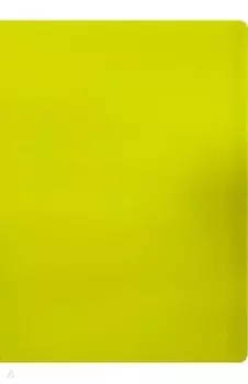 Папка 30 вкладышами А4 "Neon" желтая (DNE07V30YEL)