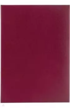 Папка адресная, без надписей (А4, бумвинил) (129634)