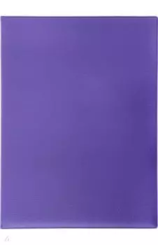 Папка для документов с файлами Фиолетовая, А4