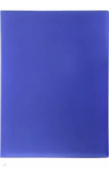 Папка для документов с файлами Синяя, А4
