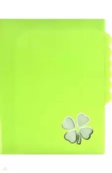 Папка для документов Клевер, А4, 6 отделений