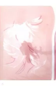 Папка для документов, пластиковая с металлическим зажимом (А4), Птицы (48301)