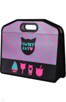 Папка для школьных тетрадей Котосладости, А4, 1 отделение