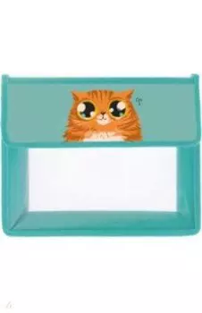 Папка для тетрадей Рыжий кот, А5