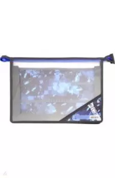 Папка для труда А4 "Lookin.cool" 2 отделения (ПТ4_пл_м4 6544)