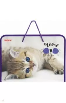 Папка для труда Kitten, А4, с ручками
