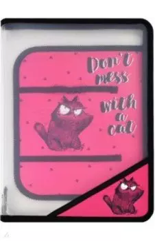 Папка для уроков труда Крэйзи кот, А4