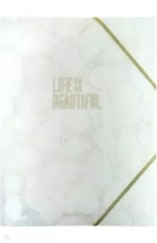 Папка-файл на резинке "Листочки. Перышки" (А4, в ассортименте) (14-039)