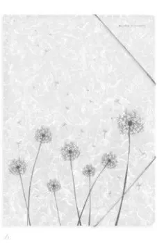 Папка-файл на резинке Одуванчики, А4