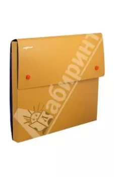 Папка-конверт на кнопках DISCOVERY (255037-26)