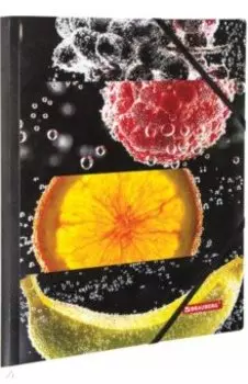 Папка на резинках "Fresh zone", А4 (228036)