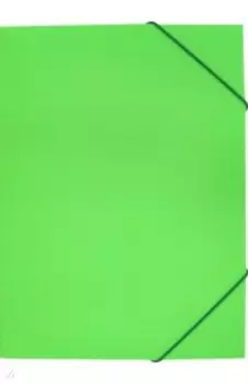 Папка на резинке А4 "Neon" салатовая (DNE510LETT)