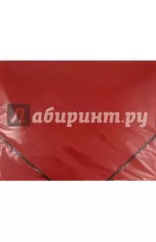 Папка пластиковая. На резинке. Красная (221798)