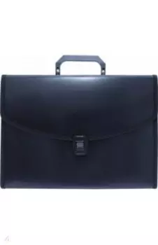 Папка-портфель, 6 отделений, А4, черная