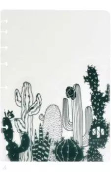 Папка-разделитель для записной книжки или ежедневника А5 "Кактусы", 3 шт.(48312)
