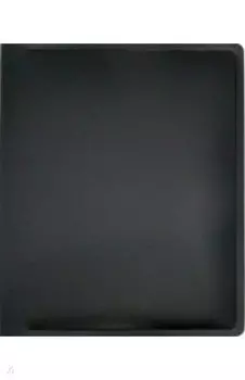 Папка с 20 прозрачными вкладышами "Black&White", А4 (BWBPV20blck)
