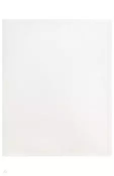 Папка с 20 прозрачными вкладышами "Black&White", А4 (BWBPV20wt)