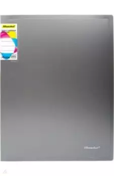 Папка с 40 вкладышами, А4, серебристая