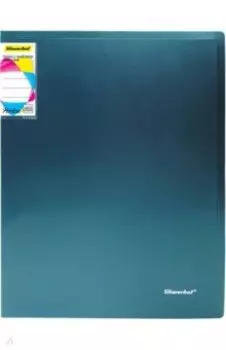 Папка с 40 вкладышами, А4, зеленый металлик