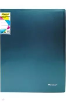 Папка с 60 вкладышами, А4, зеленая